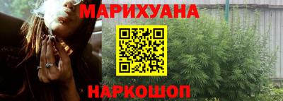 гашик Бузулук