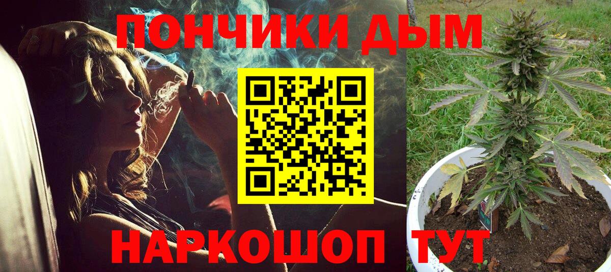 Марихуана Bruce Banner  МАРИХУАНА конопля  Конопля конопля  Вход с VPN  Коряжма 